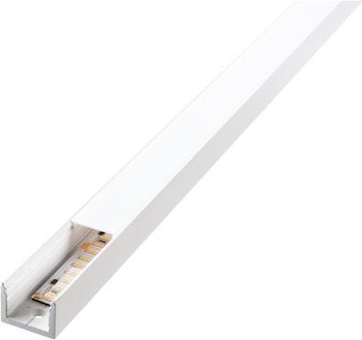 Sg Body profile (180 cm)