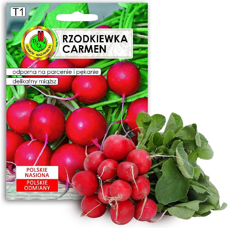 Apte, Semi, PNOS Samen auf Band Carmen Radieschen 6 m Band (Semi di verdura)