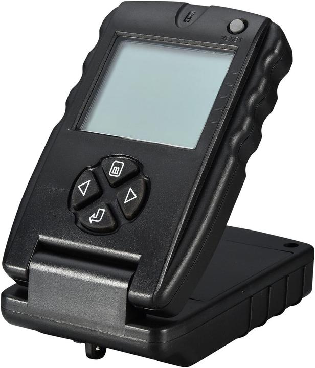 Actual product image Sonar Fish