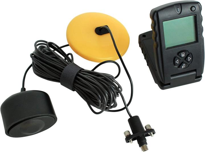 Actual product image Sonar Fish