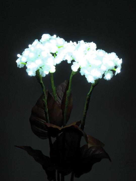 Actual product image Europalms Hydrangea, white with flowers, 100 LEDs