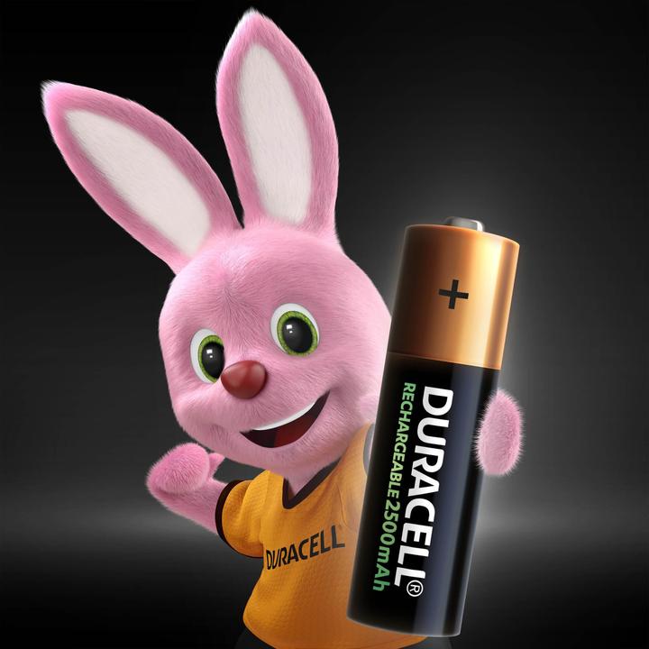 Actual product image Duracell Rechargeable batteries AA, 2500 mAh, 2 pcs. (2 pcs., AA, 2500 mAh)