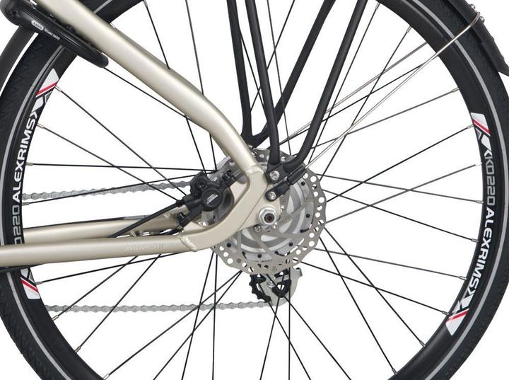 Actual product image Zenith E-Trekkingbike Classic Plus ZCL°02 46 cm Champagne (46 cm)