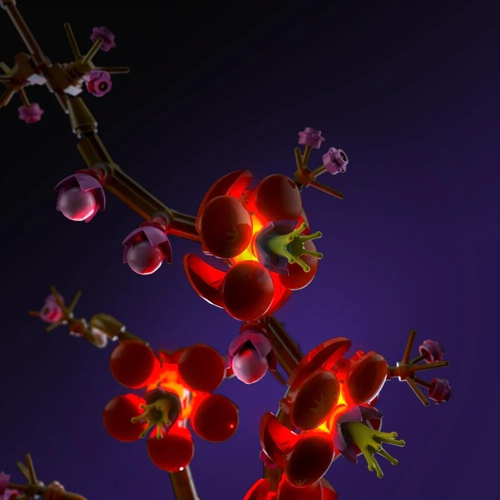 Image du produit Light my bricks LMB 2.0 Kit d'éclairage LED pour LEGO 10369 Fleur de prunier