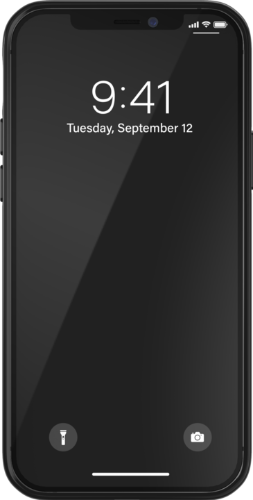 Immagine prodotto adidas Custodia a scatto Camo AOP (Apple iPhone 12 Pro, Apple iPhone 12)