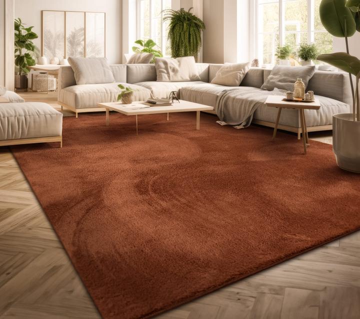 Produktbild TT Home Wohnzimmer Kurzflor Einfarbig Modernes Design Waschbar (220 x 160 cm)