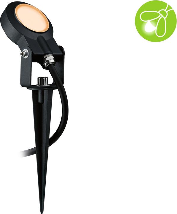 Actual product image Paulmann Sting Spot Insect Friendly (580 lm, IP67)