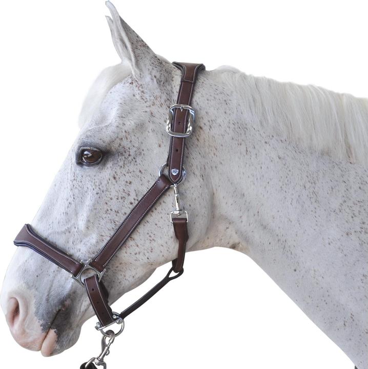 Produktbild Flags&Cup lederhalfter paris