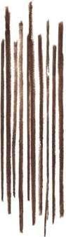 Produktbild Bobbi Brown BB Brow - Precise Brow Pencil Neutral Dark Brown (Neutral Dark Brown)