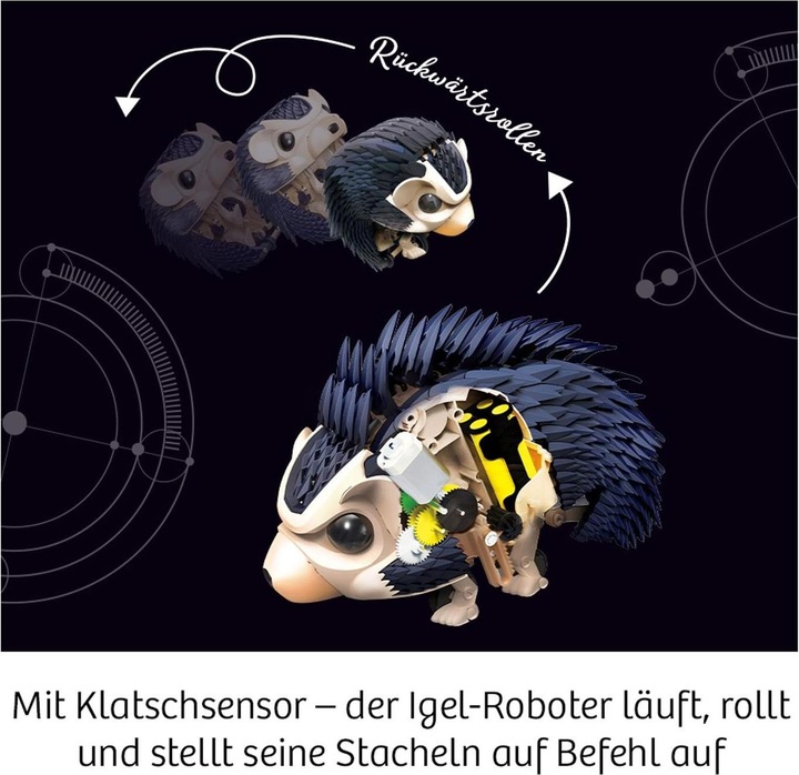 Produktbild Kosmos Nuna - Faszinierender Igel