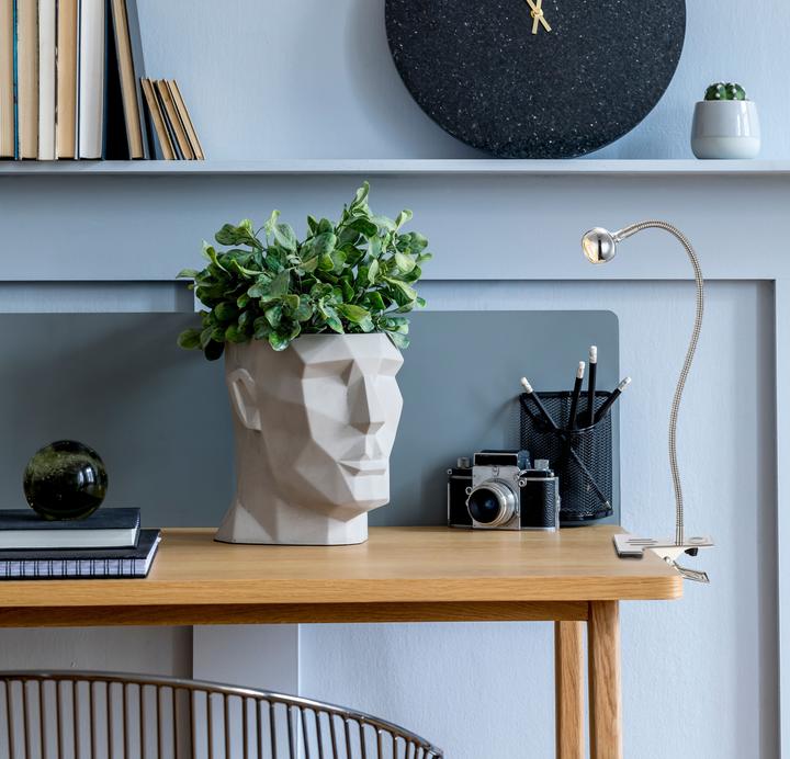 Image du produit Globo Serpent (180 lm)