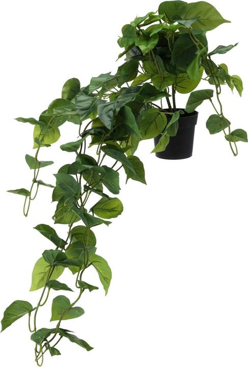 K-Design KÃ¼nstliche HÃ¤ngepflanze, 80 cm