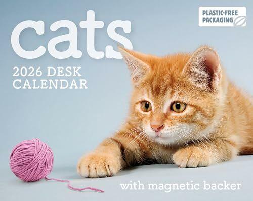 Produktbild Cats Mini Box Calendar 2026