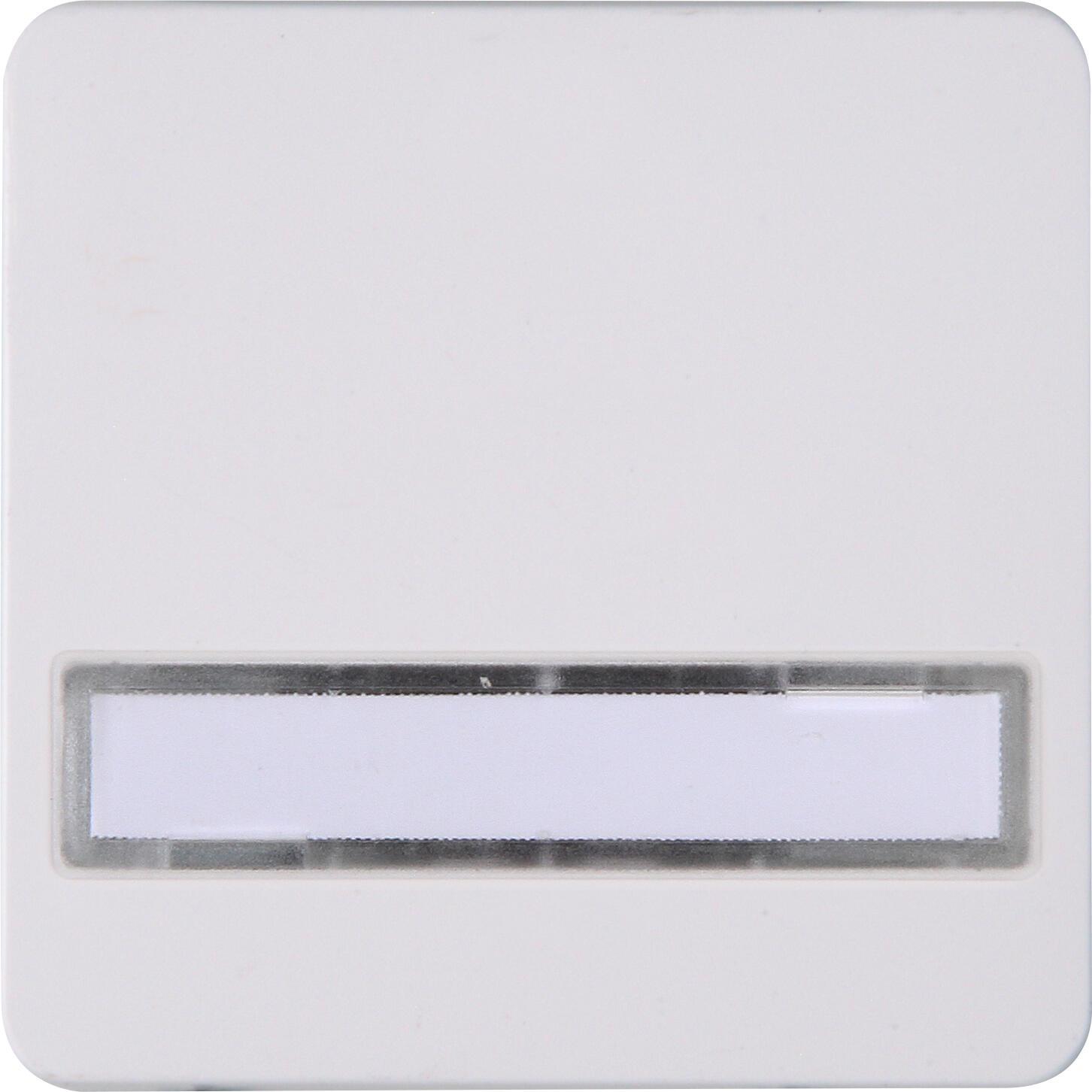 Kopp, Zubehör Schalterprogramm, Flächenwippe m.Linse 330513005 HK02 Symbol Schlüssel arktis-ws