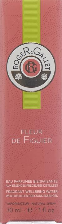 Produktbild Roger & Gallet Fleur De Figuier (Eau de Toilette, 30 ml)