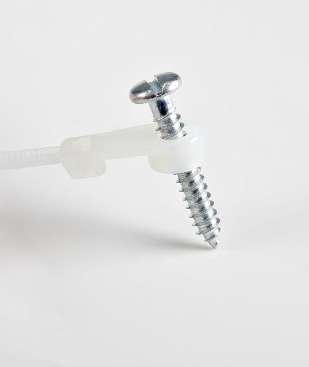 Actual product image StarTech 10cm(4") Cable Ties with Mounting Hole, 2mm(1/16") wide, 24mm(7/8") Bundle Dia. (Plastic cable ties, 3 mm, 100 pcs.)