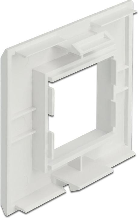 Actual product image Delock Easy 45 module support for device installation trunking 85 x 80 mm