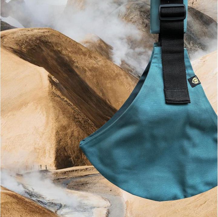 Immagine prodotto Wildride Toddler Carrier Ocean Blue