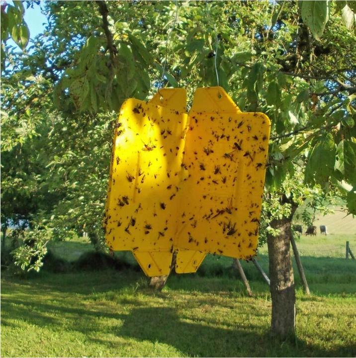 Produktbild Andermatt Biogarten Rebell