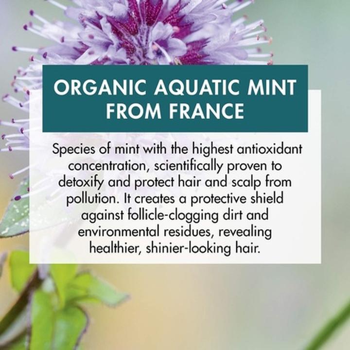 Immagine prodotto Klorane Acqua Menta (100 ml)