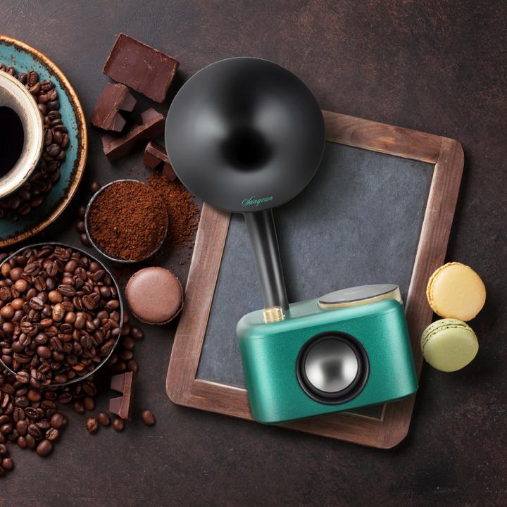 Actual product image Sangean CP 100D (DAB+, Bluetooth)