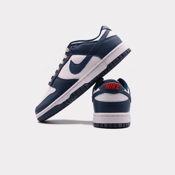 Image du produit Nike Dunk Low (41)