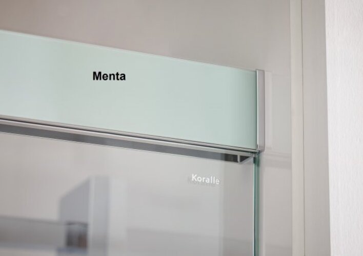Actual product image Koralle S600Plus Sliding door in niche DSN2 140 L, fixed element left, 1400mm (91.30 cm, 208.80 cm, 25.20 cm)