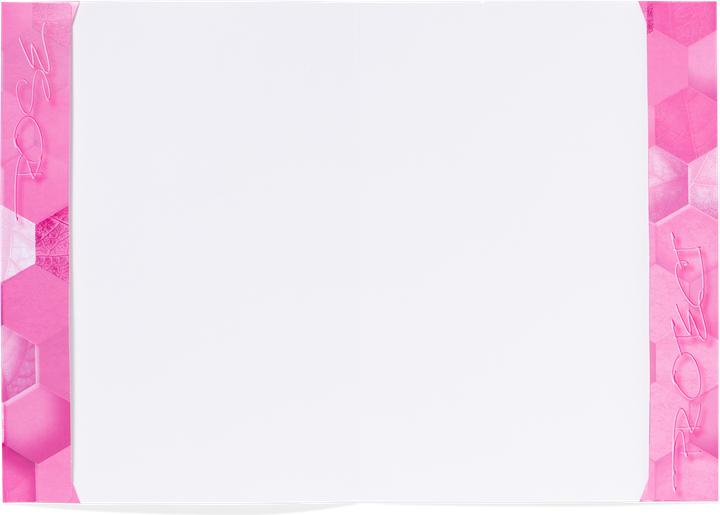 Image du produit HERMA Protège-cahier A4 Carton X (A4)