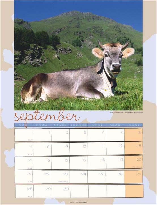 Produktbild Kuh Kalender 2026 (30 x 39 cm)