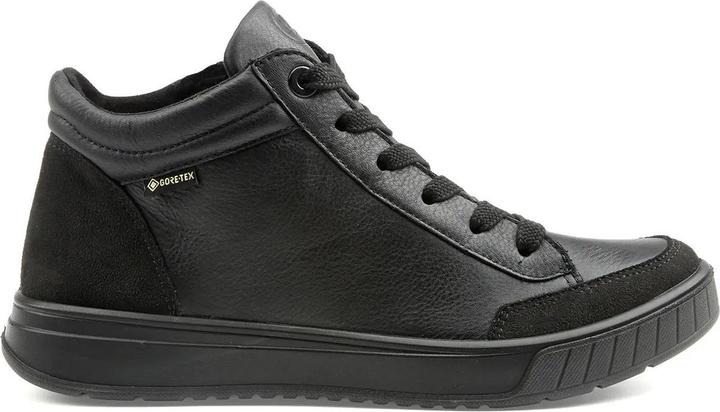 Image du produit Ara ROM 2.0 (38.5)