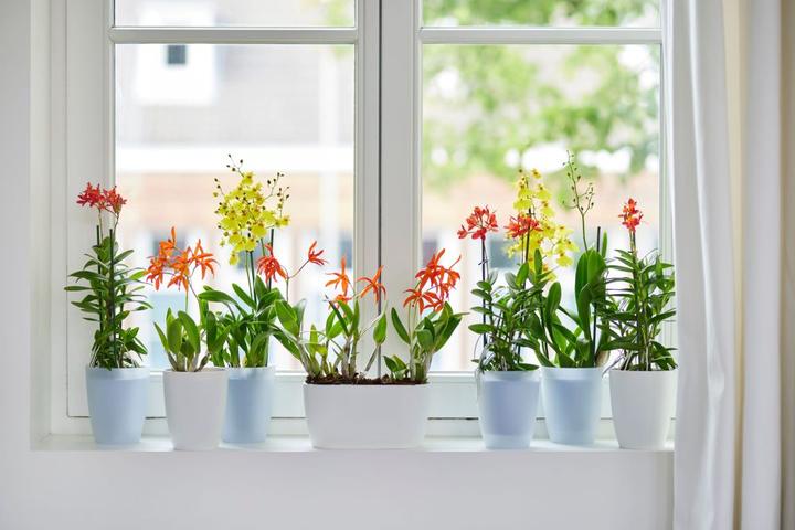 Produktbild Elho Brussels (13 cm)