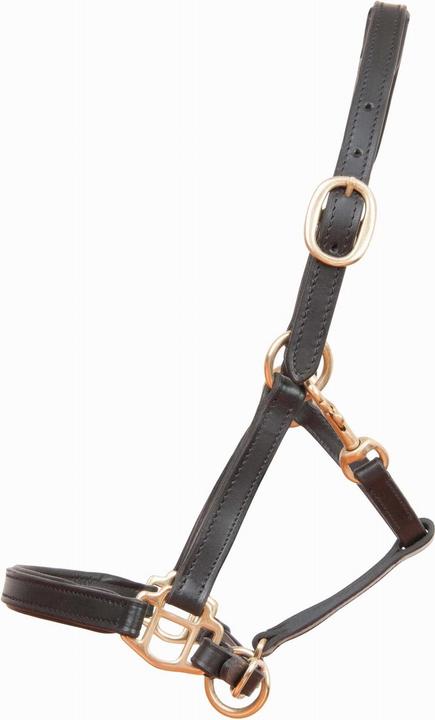 Produktbild TdeT Lederhalfter für Fohlen oder Minischnauzer