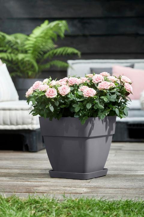 Produktbild Elho Loft Untersetzer