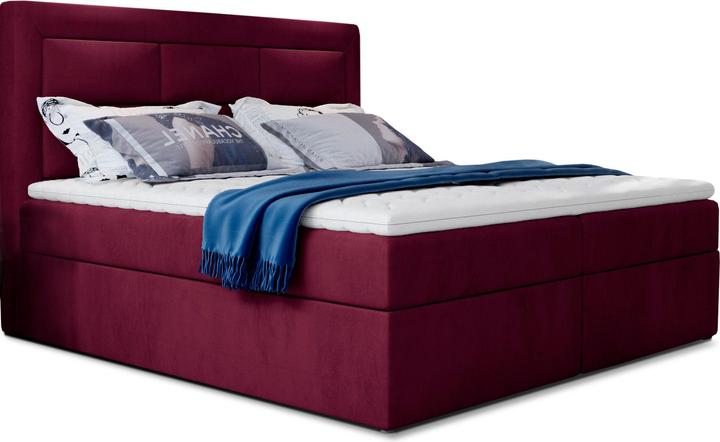 Dark Purple Mat Velvet 68
