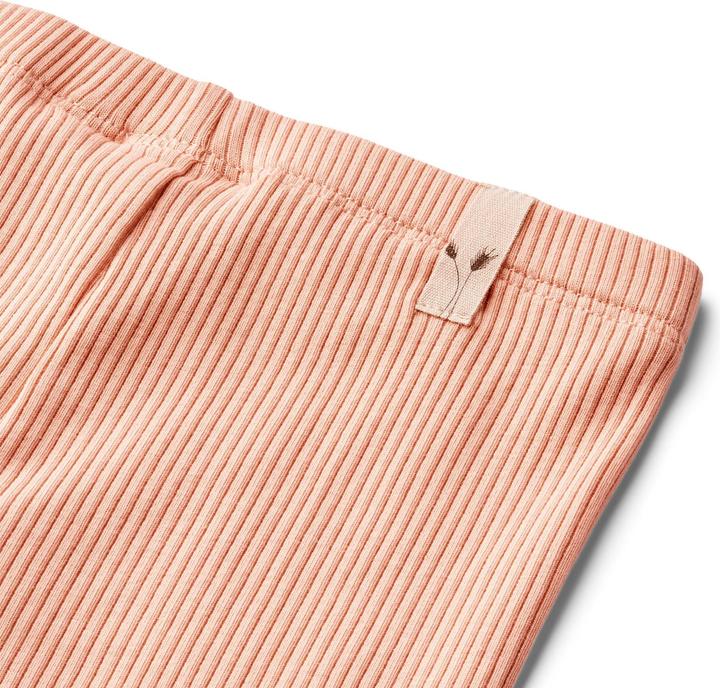 Image du produit Wheat Leggings bébé Jules doux (80)