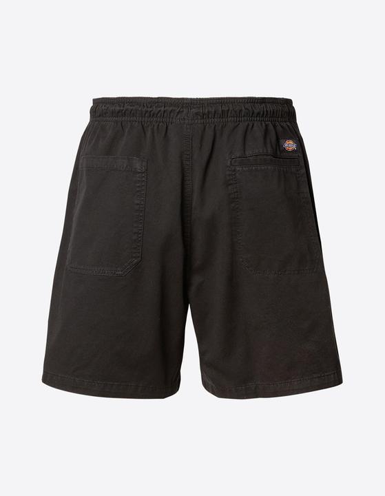 Immagine prodotto Dickies Pantaloncini in tessuto Pelican Rapids - 91859