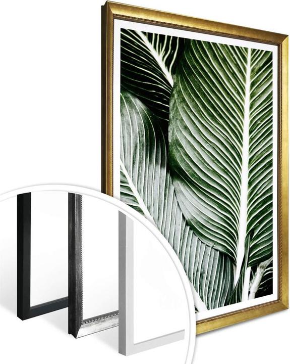 Image du produit Trenddeko Feuilles de palmier (30 x 40 cm)