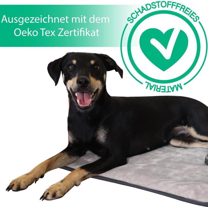 Actual product image Aspero Dog blanket Lund (Dog)