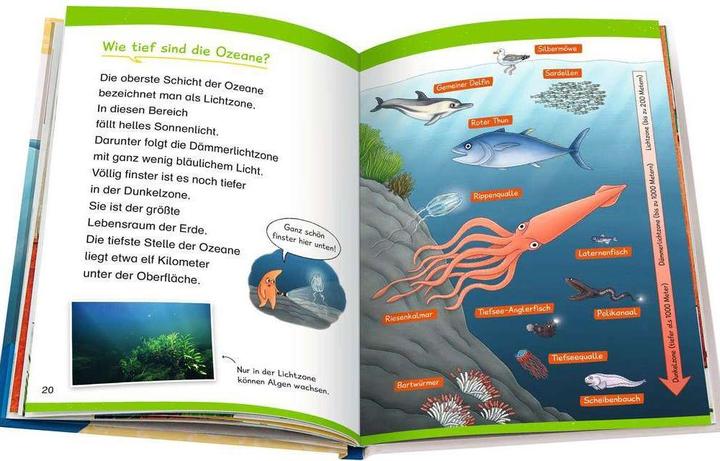 Produktbild Ravensburger Wieso? Weshalb? Warum? Erstleser, Band 8: Ozeane (Deutsch, Carola von Kessel, Ruby Warnecke, 2022)