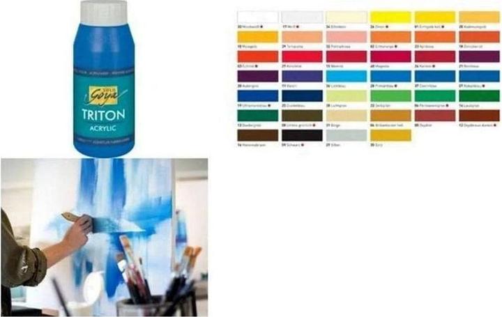 Actual product image Solo Goya Triton Acrylic (Silver, 750 ml)
