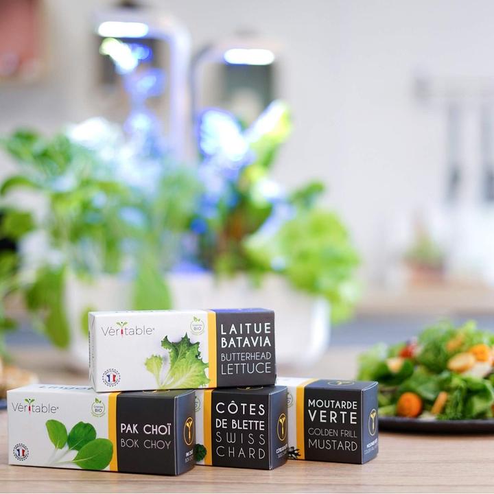 Produktbild Véritable Lingot Eichblattsalat BIO (Gemüsesamen)