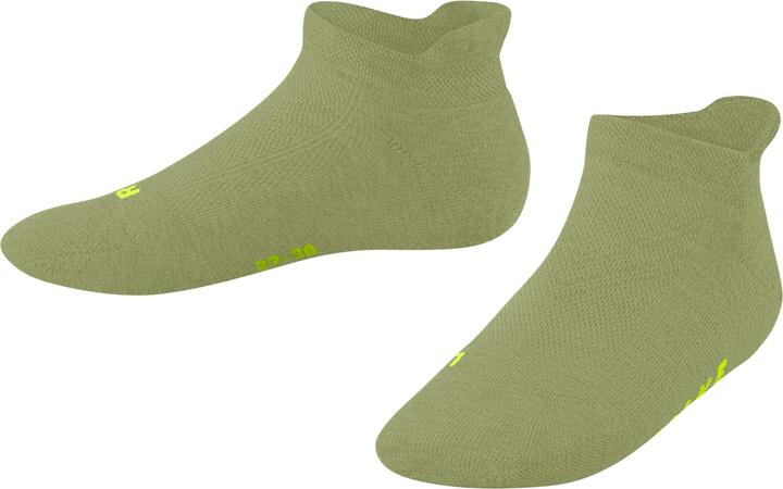 Ferngreen