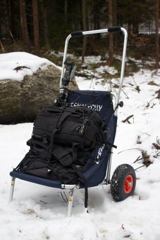 Actual product image Eckla Beach-Rolly