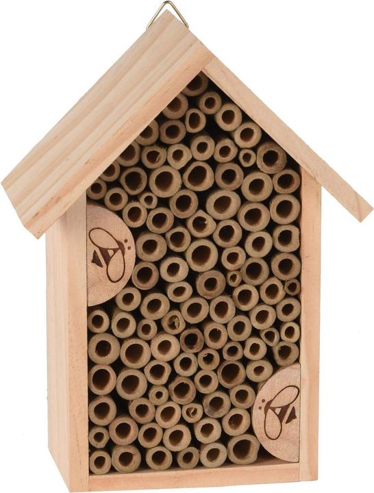 Immagine prodotto No Name Hout (Ape)