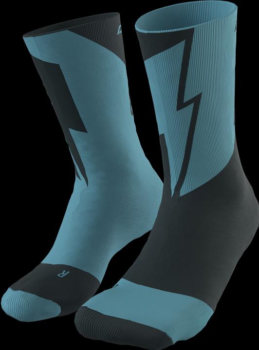 Image du produit Dynafit Chaussettes No Pain No Gain (39 - 42)