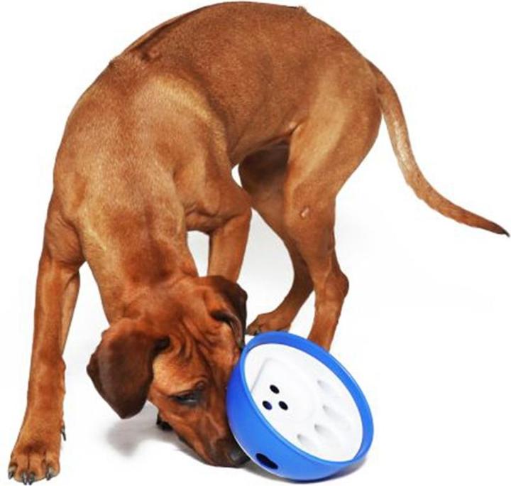 Image du produit Nobby Mangeoire KICK'N FEED