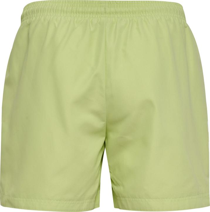 Image du produit hummel hmlPULSE SWIM SHORTS (L)
