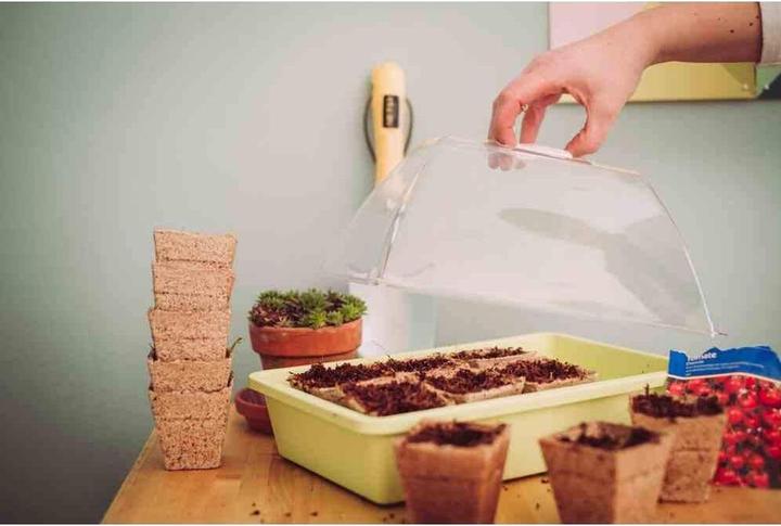 Produktbild Siena Garden Kokos-Erde (10 l)