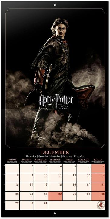 Produktbild Kalender Harry Potter Filme 30 x 30 / 30 x 60 cm (30 x 30 cm)