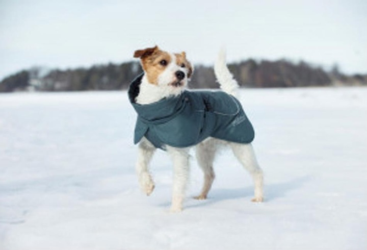 Produktbild Rukka Stormy (30, Hundemantel)